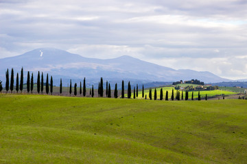 green fields and hills in Crete Senesi in Tuscany