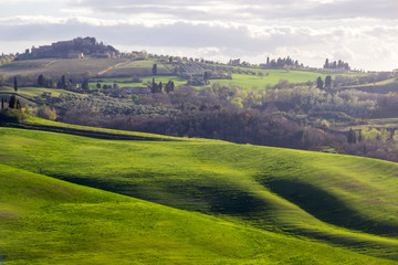 Fototapeta na wymiar green fields and hills in Crete Senesi in Tuscany
