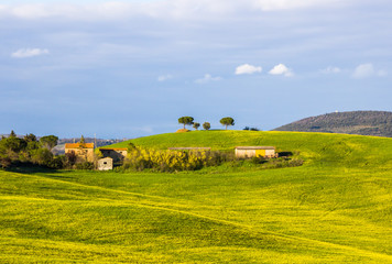 green fields and hills in Crete Senesi in Tuscany
