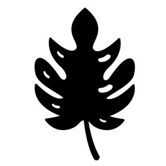 leaf monstera palm tropical foliage