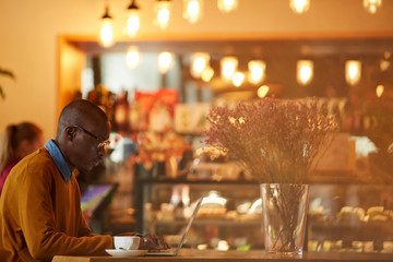 Side view portrait of contemporary African-American man using laptop sitting at table in cafe, copy space