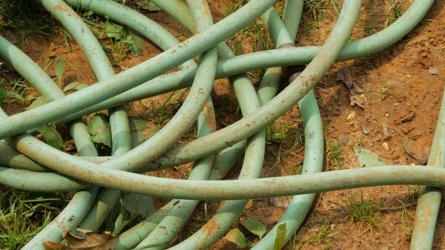 Close up tilt of green garden hose lying in dirt and grass