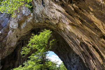 Natural stone bridge in Vratna river gorge in Serbia, called Vratnjanske kapije. This arches is a largest natural bridges in Europe.