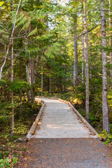 Wooden trail next to the visitor center of North Cascades, surrounded by trees