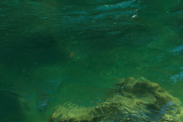 Fototapeta na wymiar Detail of the turquoise water of the Skagit River and the rocks under it