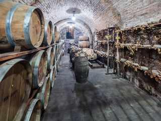 Oak barrels in an old underground wine cellar.