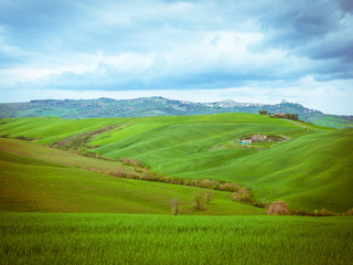 Landscape in spring.