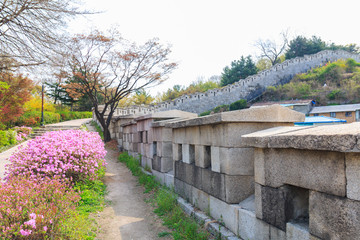 Landscape of Seoul city wall (Waryong Park) in Korea