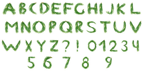 English alphabet and numbers from spruce branches