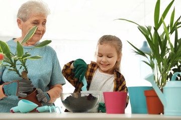 Little girl and her grandmother taking care of plants indoors