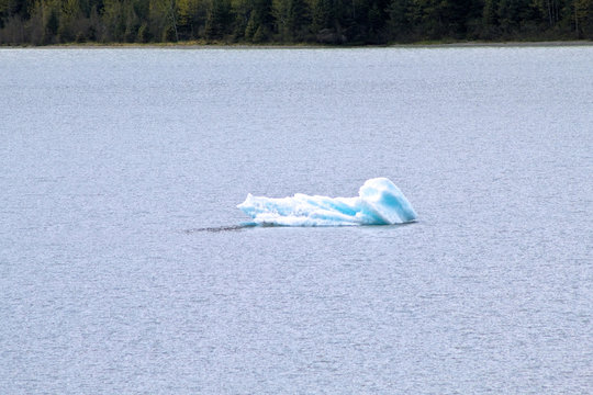 piece of ice floating otn the water
