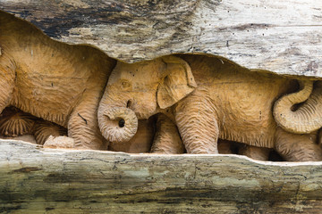 Thai elephants carved on old wood at public temple