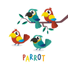 Obraz na płótnie Canvas Cute parrot cartoon vector. Animal wildlife character. Colourful birds set.