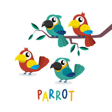 Cute parrot cartoon vector. Animal wildlife character. Colourful birds set.
