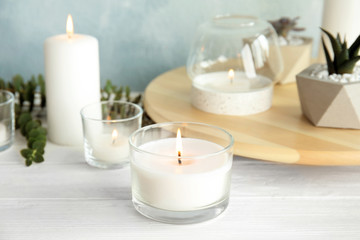 Fototapeta na wymiar Burning aromatic candle and plants on table