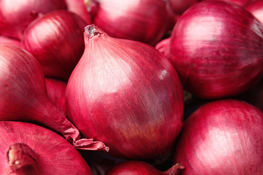 Fresh whole red onions as background, closeup