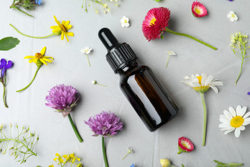 Bottle of essential oil and different flowers on grey background, flat lay