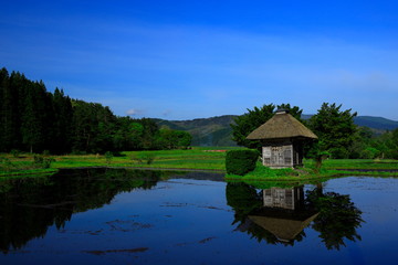 春の荒神神社