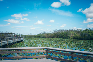 mangrovenpark
