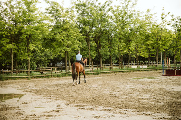  Rider rides his beautiful horse