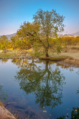 autumn landscape with lake and trees