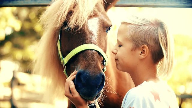 Kid loves pony horse