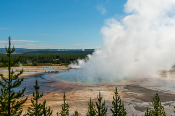Thick Steam Rises Out of Grand Prismatic Spring
