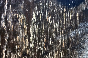 Close up view on detailed wooden plank and log surfaces in high resolution