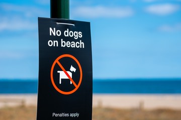 A 'No Dogs on Beach' sign at the foreshore on a black board