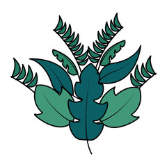 botanical leaf foliage arrangement