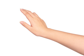 Woman hand isolated on white background.