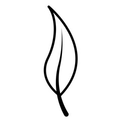 leaf botanical foliage icon linear