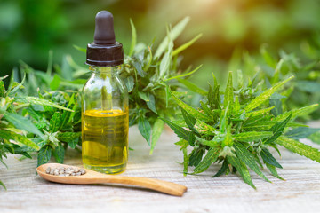 CBD oil cannabis extract, Hemp oil bottles and hemp flowers on a wooden table,  Medical cannabis...