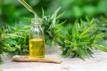 Hemp oil, Medical marijuana products including cannabis leaf,  cbd  and hash oil, alternative...