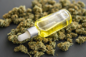 marijuana cannabis concept, CBD medical OIL, macro, Cannabis oil in pipette,