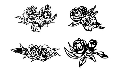 Abstract peonies and roses isolated on white background. Hand drawn floral collection. 4 floral graphic elements. Big vector set. Outline icons