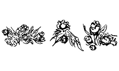 Abstract peonies and roses isolated on white background. Hand drawn floral collection. 3 floral graphic elements. Big vector set. Outline icons