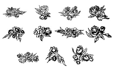 Abstract peonies and roses isolated on white background. Hand drawn floral collection. 11 floral graphic elements. Big vector set. Outline icons