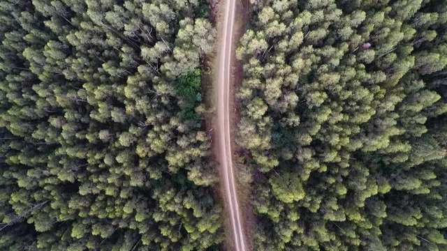 Dirt road in a forest from the air