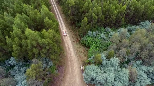 Rally car in the forest from the air