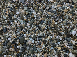 海の海岸の小石