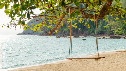 Rope wooden swing hanging on tree at topical beach with sunlight in Thailand
