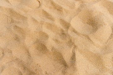 Yellow sand texture on the beach. natural background for summer concept