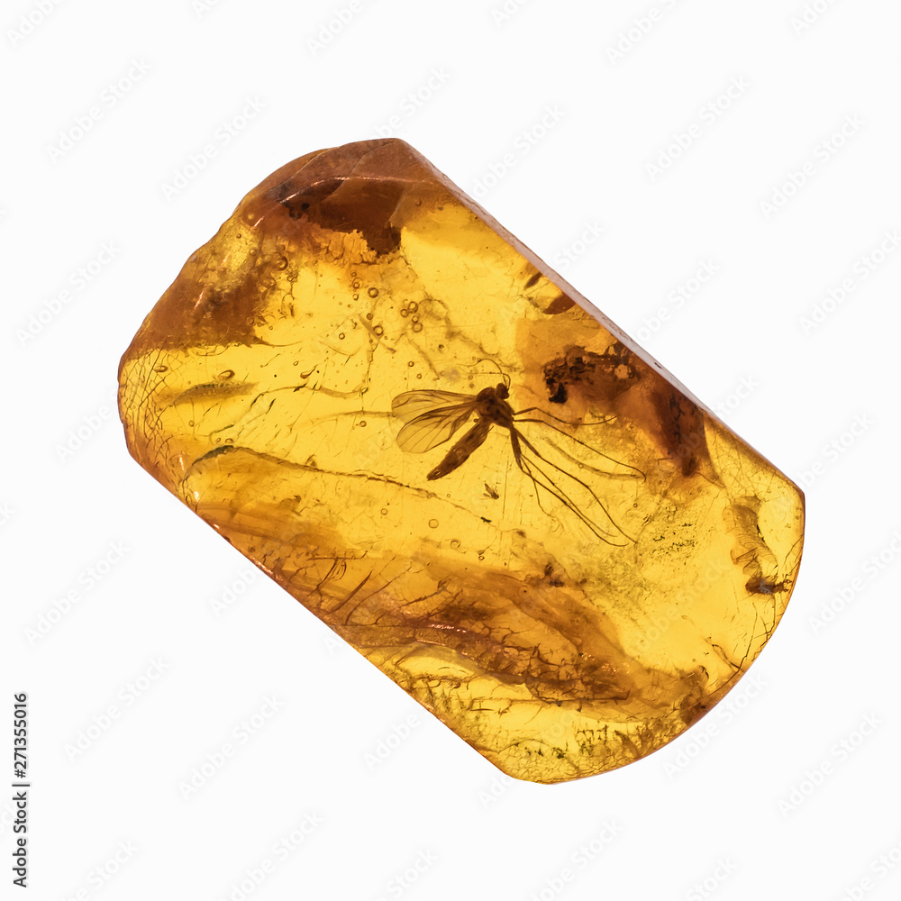 Wall mural piece of amber with insects inclusions