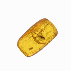 Piece of amber with insects inclusions