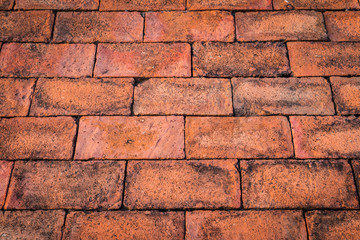 Old floor red brick wall texture