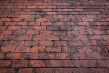 Old floor red brick wall texture