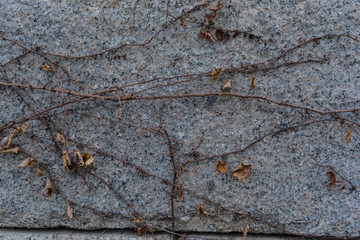 stone and twigs