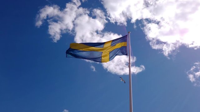 Swedish flag blowing in the wind against a blue sky. Seagull passing by in the background.