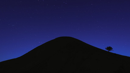 Lonely tree on the mountain in the night